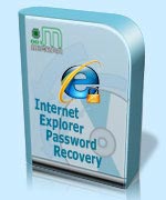 Internet explorer password recovery and passwords unmask